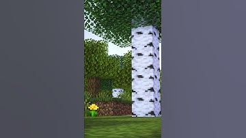 Minecraft, but STEVE Become BADASS - Minecraft Animation