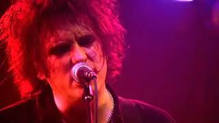 THE CURE -Lovesong (LIVE)