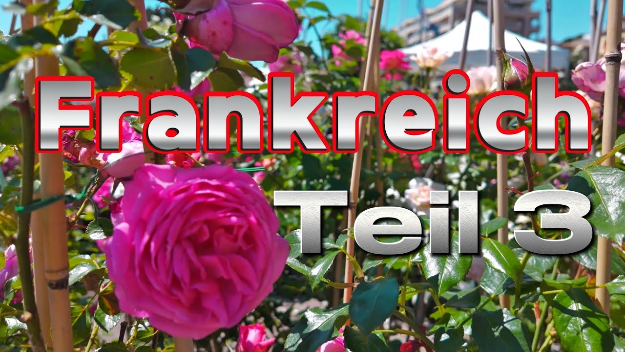 🇫🇷🌹💐🏫 Teil 3 - Grasse - Urlaub Frankreich 4K🎥