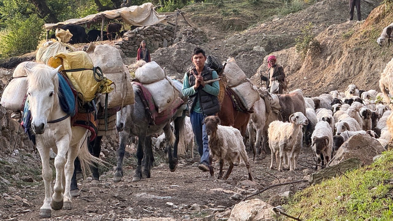Nepali Rural Community Nepali Rural Village Life || Very Poor But Happy In Countryside ...