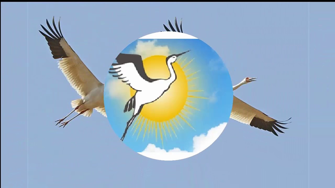 Белые журавли рисунки расул гамзатов