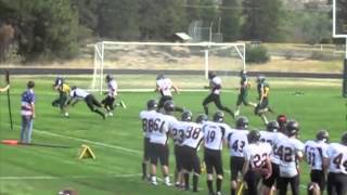 LBHS football highlights mike michael #8 QB/DB
