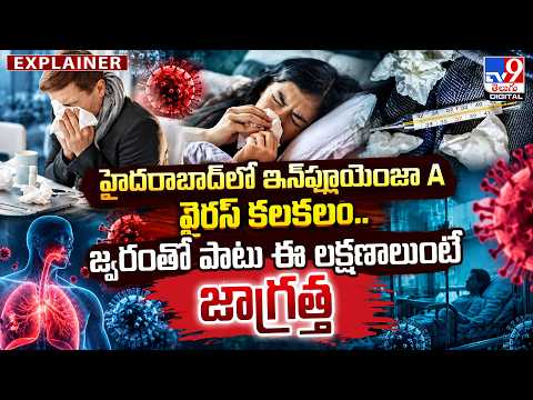 Explainer : హైదరాబాద్‌లో ఇన్‌ఫ్లూయెంజా A వైరస్ కలకలం.. జ్వరంతో పాటు ఈ లక్షణాలుంటే జాగ్రత్త - TV9