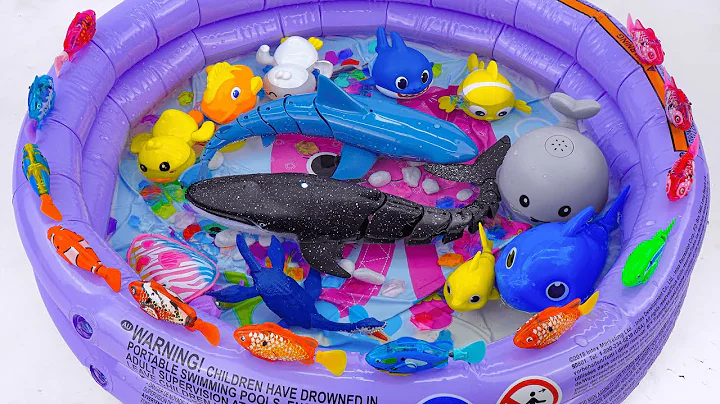 [toy asmr] Robo Fishing Playset & Zuru Alive Aquarium ASMR Satisfying with Unboxing Review Toys