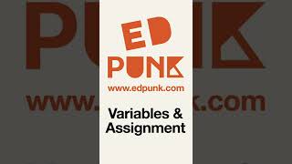 [Day 14] Python Variables & Assignment Statements | Learn Python | Light Mode #100daysofpython