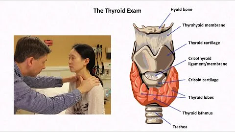 The Thyroid Exam and Physical Diagnosis of Thyroid Disease - DayDayNews