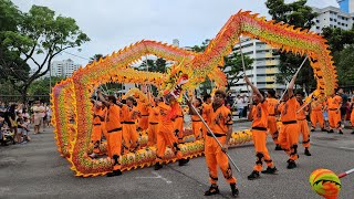 新加坡南仙龍獅體育會 Singapore Nam Sieng Dragon & Lion Dance Performances at Hougang BLK 682 St. 61 濟缘殿