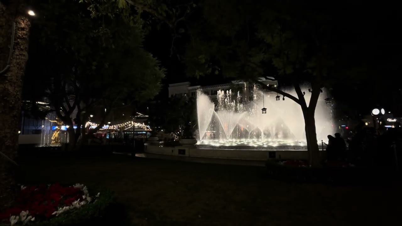 Americana water show suite￼ at the Polar express