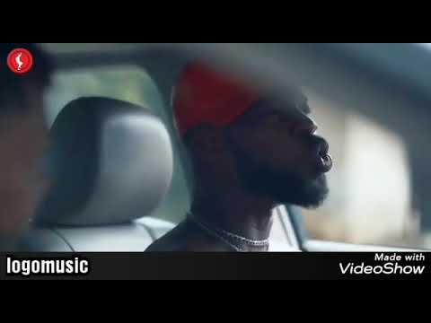 Broda shagi driving school