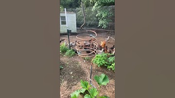 Electroculture proof #electroculture #gardening #seedstarting #planting