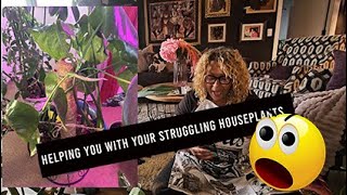 HELPING YOU WITH YOUR STRUGGLING HOUSEPLANTS! #strugglinghouseplants #dyingplants