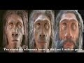 The evolution of human faces in the last 6 million years