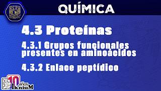Química – Tema 4: Alimentos | Proteínas: grupos funcionales y enlaces peptídicos (4.3.1 y 4.3.2)