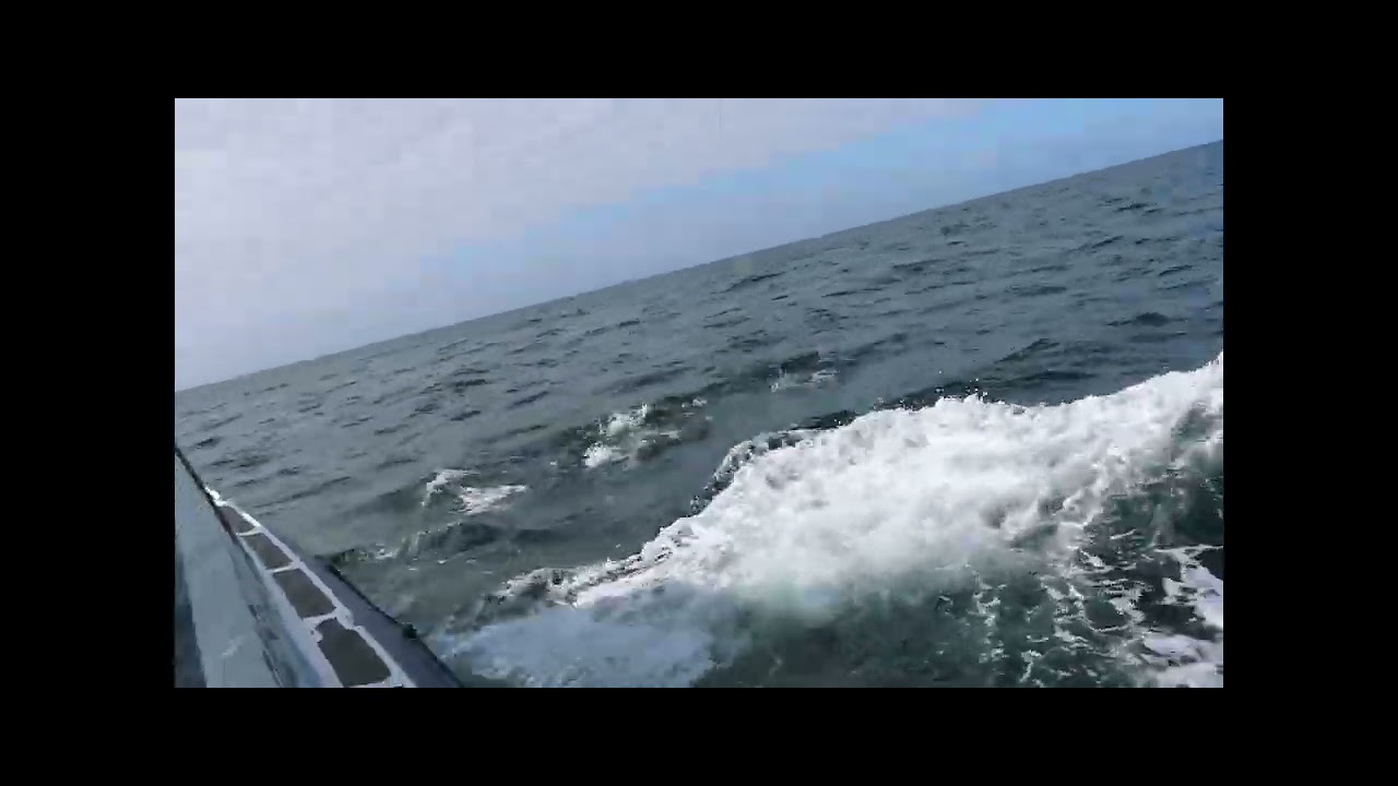 Wild Argyll by photographer Kim Lappin