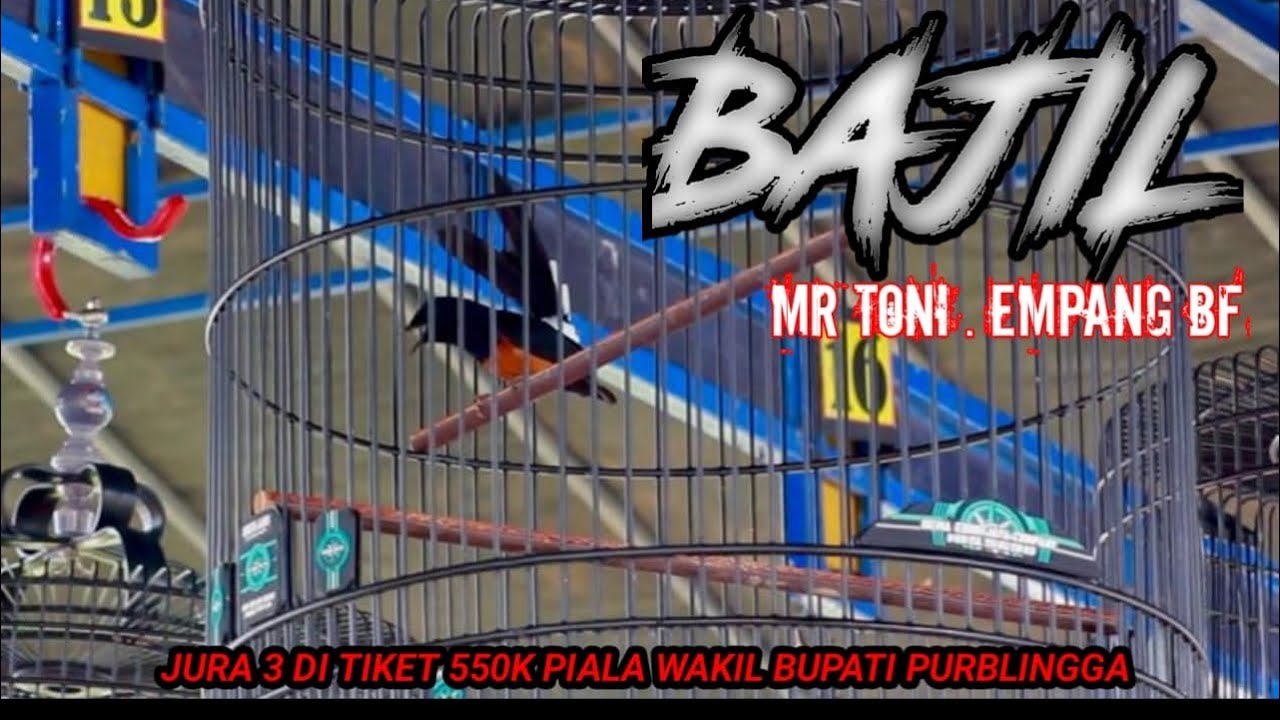 JUARA DI PIALA WABUP PURBALINGGA DI TIKET 550k 