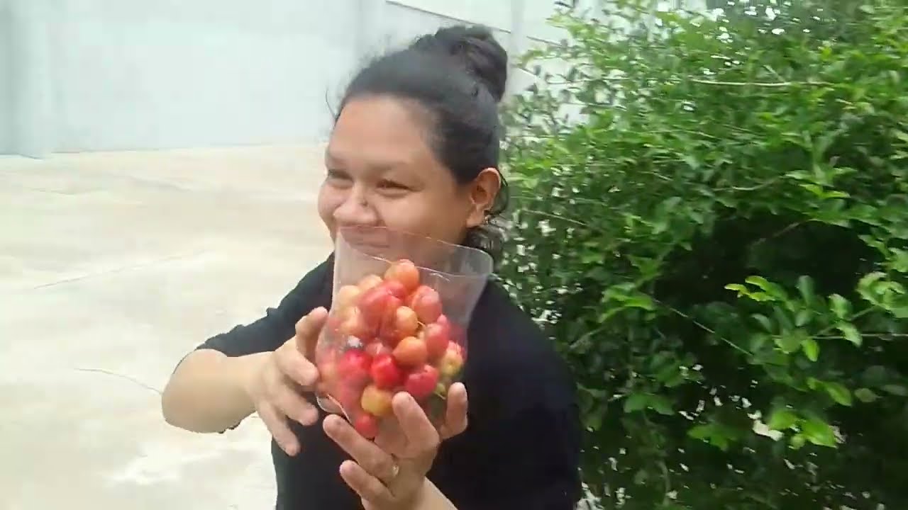 ASMR APANHANDO ACEROLAS, SUSSURRANDO E LAVANDO ACEROLAS COM A FERNANDA 