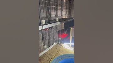 Qaib Batam pen setup and Qaib Thai