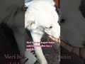 Meri cuty ke liye ek like subscribe to Banta Hi Hai doston