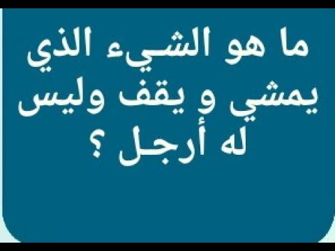 ما هو الشيء الذي ينبض بلا قلب من 6 حروف