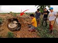 Using High-Tech Detector Tracing Giant Golden Snake 300 Pound | Fishing TV