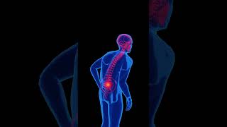 animated human body skeleton with lower back pain , spinal alignment