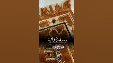 سورة القدر |#اكسبلور_قرآن_كريم#عامر السعيدي#ليلة_القدر #حالات_واتس #محمد_رمضان #سحر_التخاطر #افراح