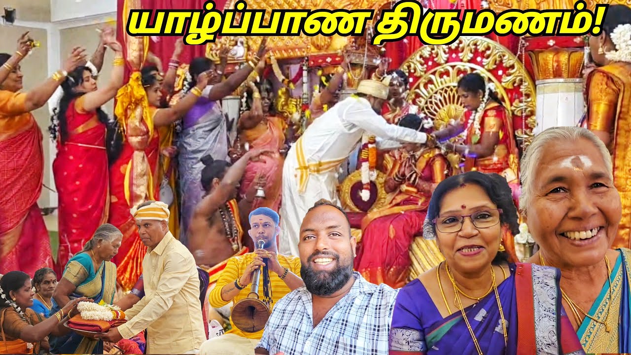 ஊரார் உறவுகளுடன் நடந்த திருமணம்!🥳 Jaffna Tamil Wedding | Alasteen Rock