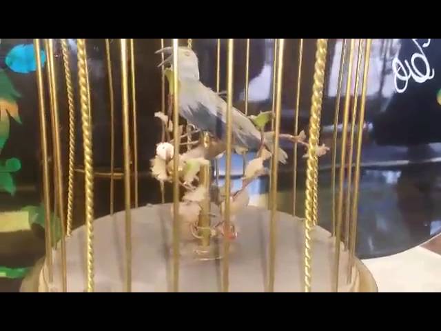 Bird Singing Karl Griesbaum