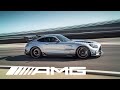 The New Mercedes-AMG GT Black Series