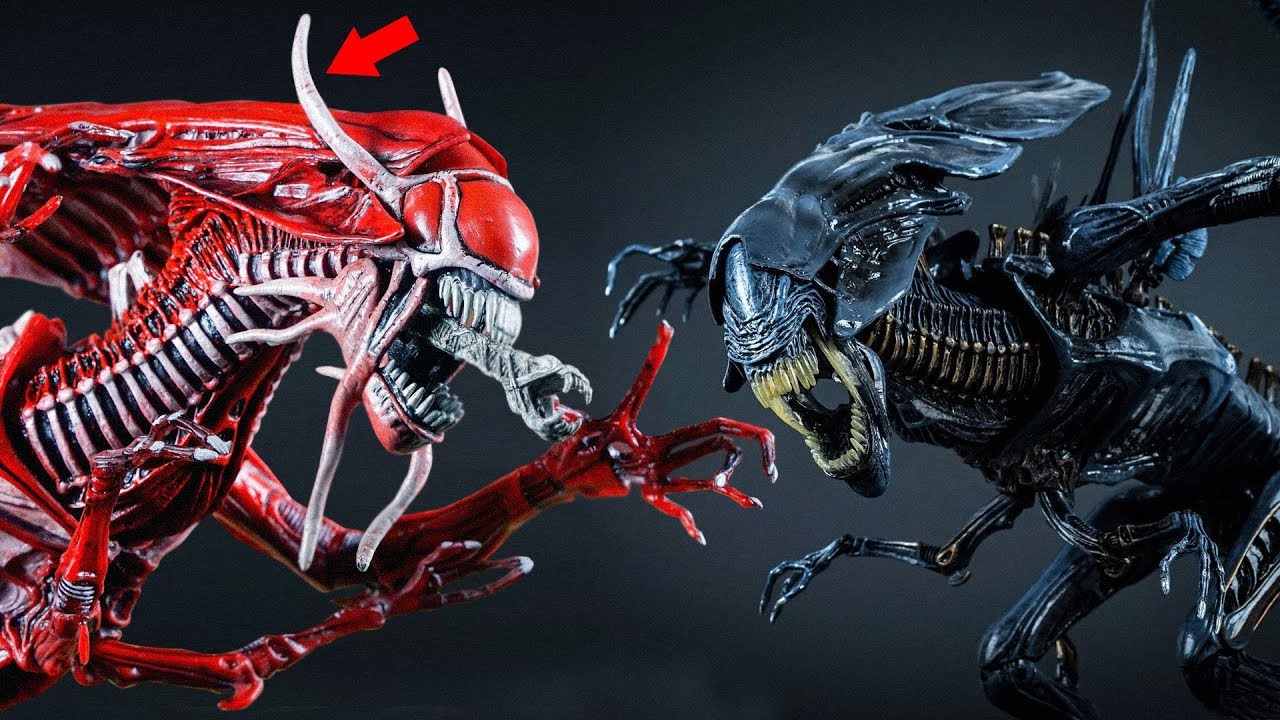 Alien Movie Xenomorph Types