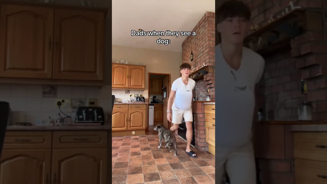 HOW DADS PET THEIR DOG 