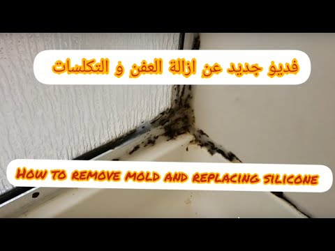 Mold removal from a walk-in shower إزالة العفن من الحمام