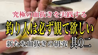 究極の血抜きを実践する【釣り人は必ず観て欲しい】編 vol.239