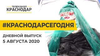 Краснодар Сегодня. Дневной выпуск новостей от 5 августа 2020