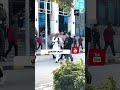الصعايده حضروا قلبوا الجامعة باللى عملوه الصعايده حضروا قلبوا الجامعة باللى عملوه