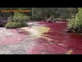 Colombia Cano Cristales