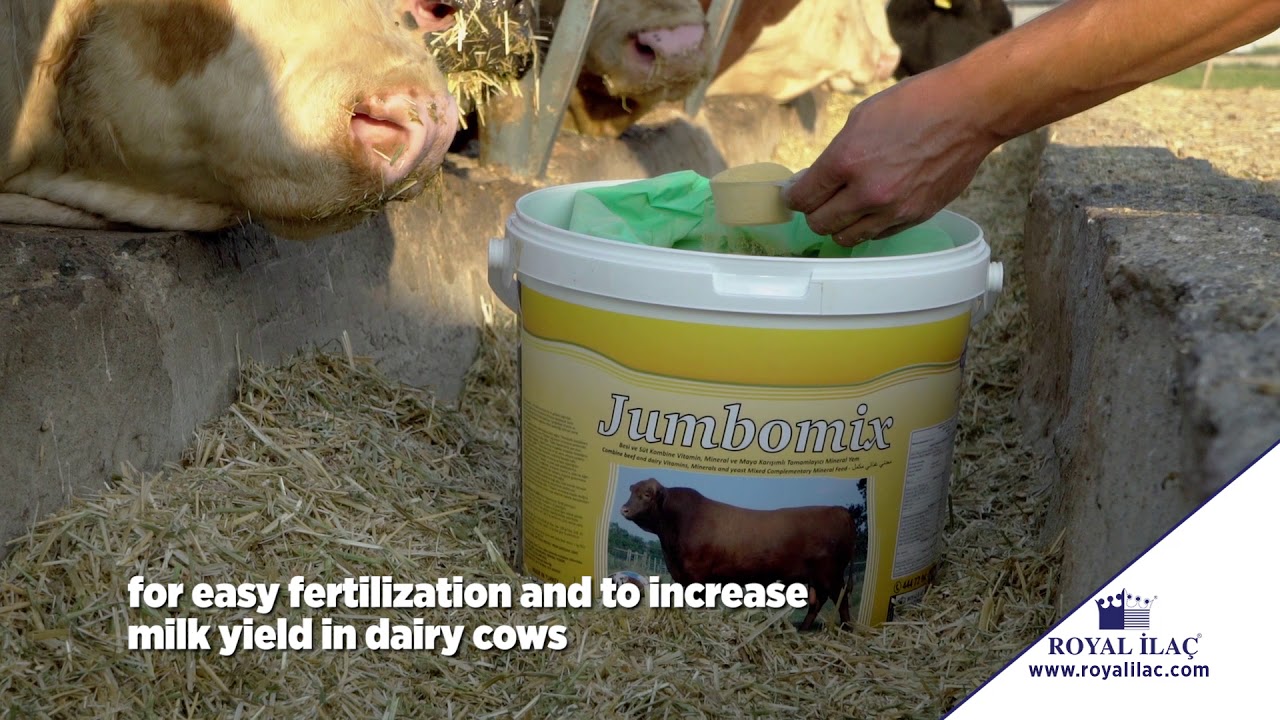 JUMBOMIX: Combined feed supplement to improve fertility and to increase milk and meat yields