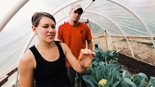 They Built This Greenhouse for $400