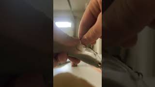 New “6 inch Magdraft swimbait