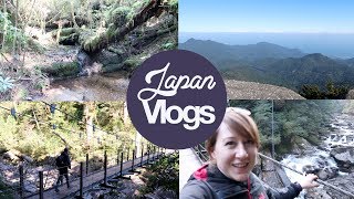 Japan Vlog: Yakushima Heaven's Pillar & Yakusugi Land