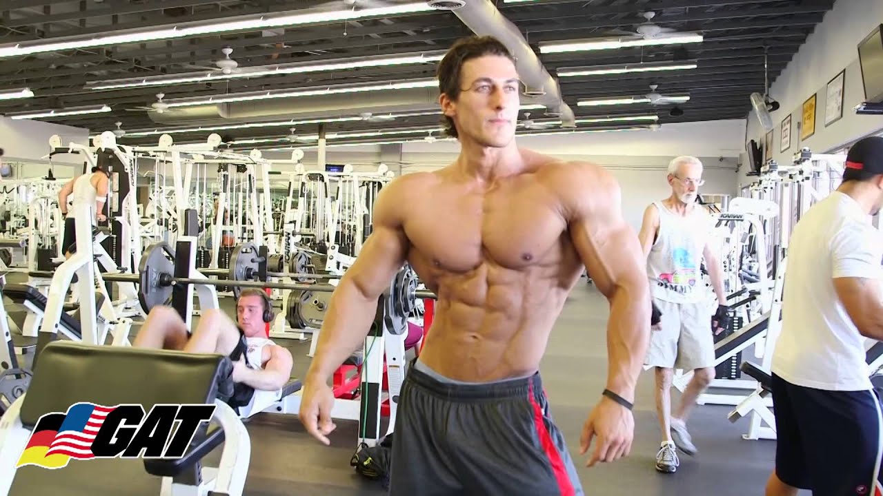 SEARCH AND BUY THIS PRODUCT GAT Athlete IFBB Pro SADIK HADZOVIC Workout 3 with Dennis