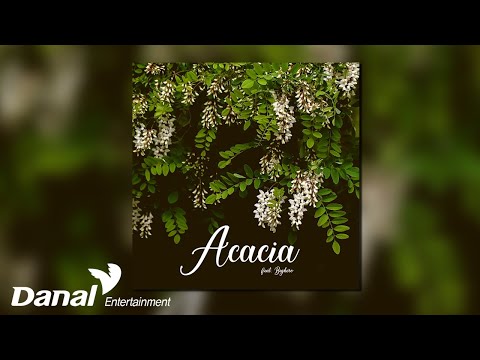 [Official Audio] 수빈(svbin) - 아카시아(<strong>Acacia</strong>) (Feat. Bighero)