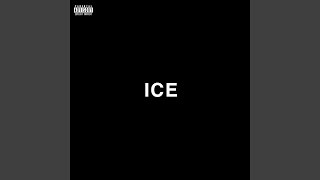 Famous ICE Net Worth
