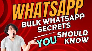 Mastering Bulk WhatsApp Messaging with BULKWHIZZ: A Step-by-Step Guide!