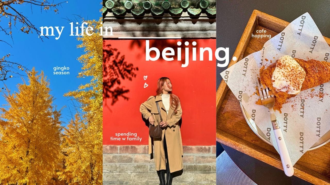 life in beijing 🍂 gingko season, solo cafe dates ☕️ spending time w family, nonstop eating 🥟