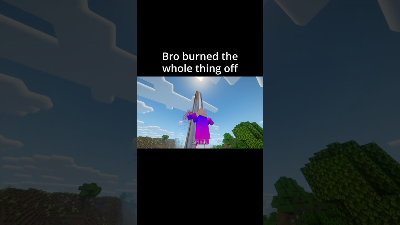 Minecraft Meme - Ultimate Villager SlapWar