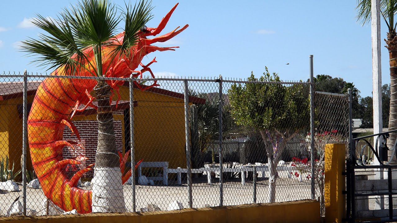 The Linkhorns - "One Fun Tomato" Official Music Video