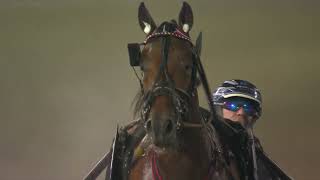 Vidéo de la course PMU PRIX STL DIAMANTSTOET, FORSOK 5 I MEETING 8