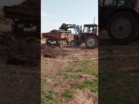 вилы на Кун