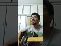 Cheliya Cheliya #nagarjuna #manmadhudu #trivikram #devisriprasad #guitar Mp3 Song
